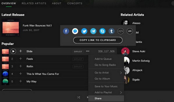 Download Spotify Music
