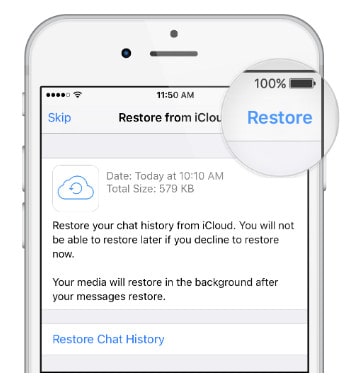 transport from icloud backup