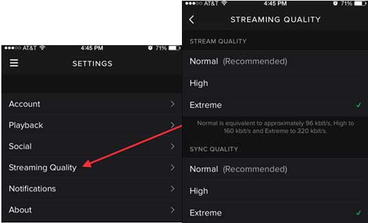 reduce Spotify Stream quality