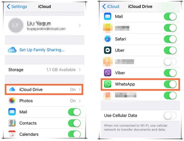 turn on iCloud Drive for WhatsApp backups